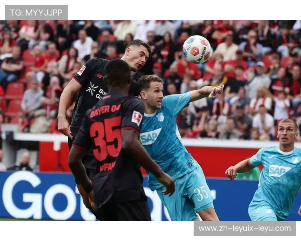 德甲足球队医团队介绍及体育健康管理分析